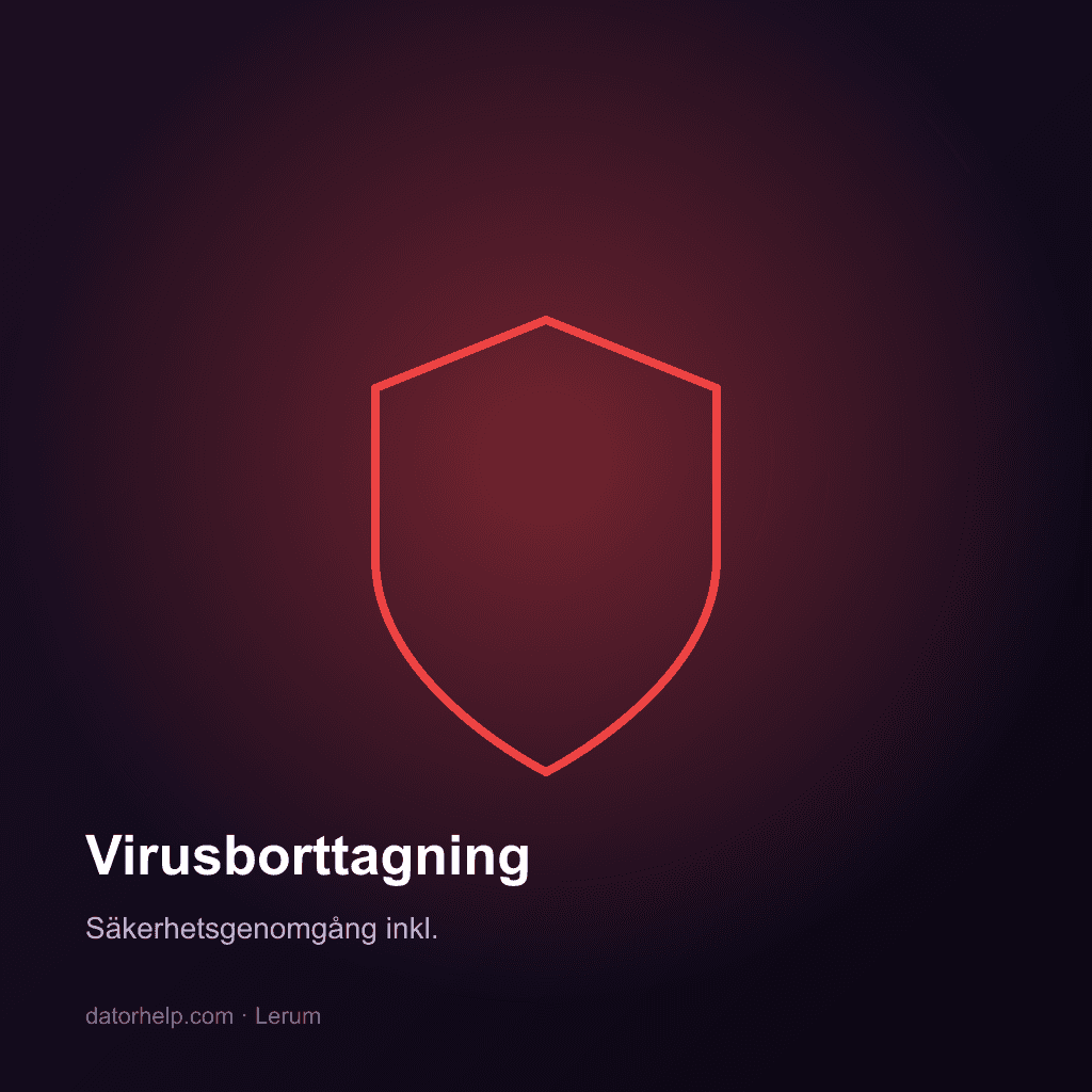 Virusborttagning paket